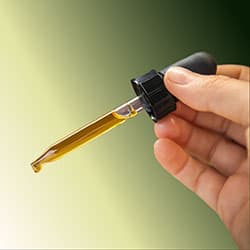 Cannabis tinctures and oils