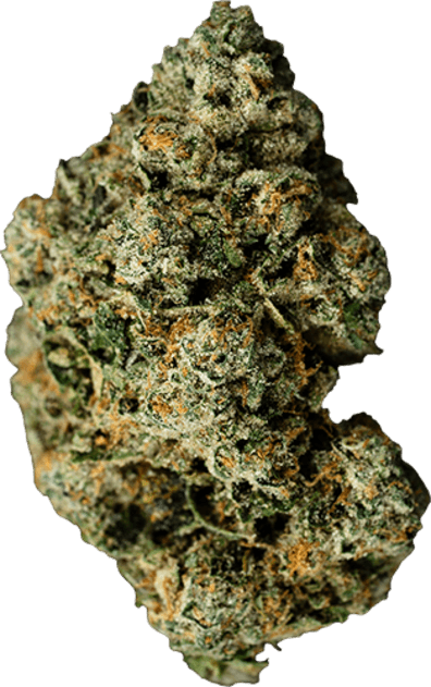 Jet Fuel Gelato image 1
